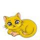 14251