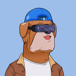 9113