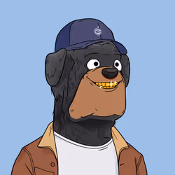 3255