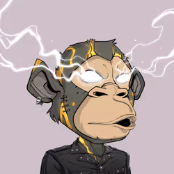 6548