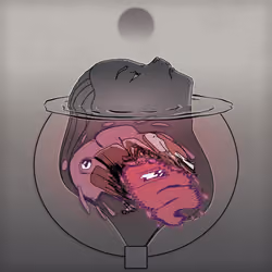 Opipor (3FACE #2792)