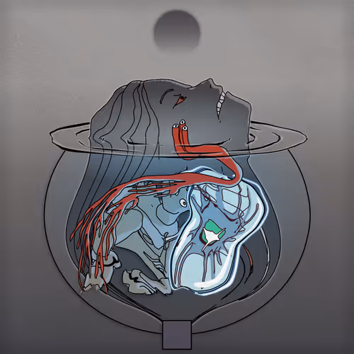 3face By Ian Cheng