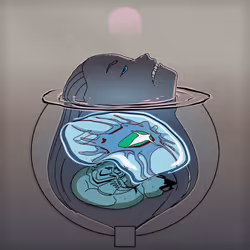 Asoven (3FACE #2652)