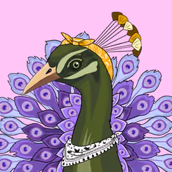 26