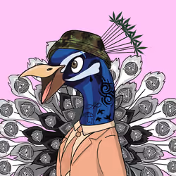94