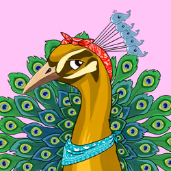 Peacock Tribe #78