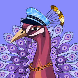 65