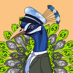 50