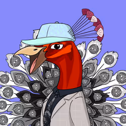 53
