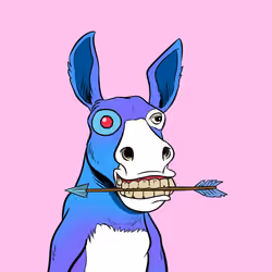 Crazy Donkey #15