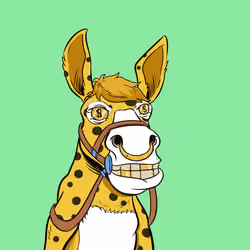 Crazy Donkey #998