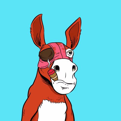 Crazy Donkey #388