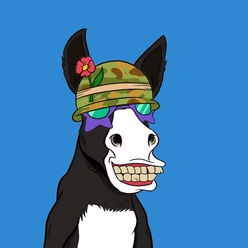 Crazy Donkey #774