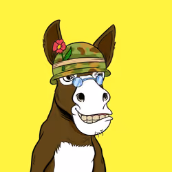 Crazy Donkey #905