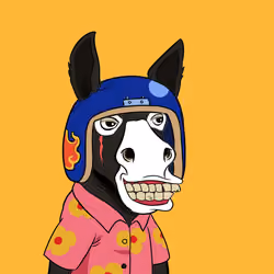 Crazy Donkey #17