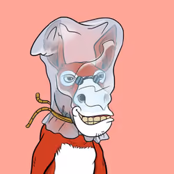 Crazy Donkey #904