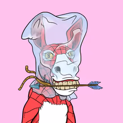 Crazy Donkey #455