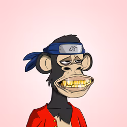 501