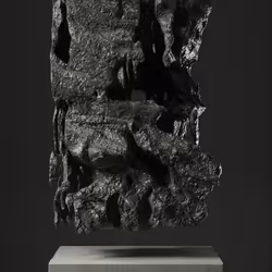ULTRASOUND DATA SCULPTURES #61