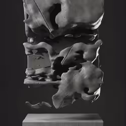 ULTRASOUND DATA SCULPTURES #70