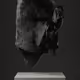 ULTRASOUND DATA SCULPTURES #33