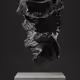 ULTRASOUND DATA SCULPTURES #55