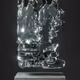 ULTRASOUND DATA SCULPTURES #98