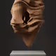 ULTRASOUND DATA SCULPTURES #75