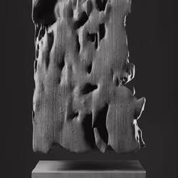 ULTRASOUND DATA SCULPTURES #3