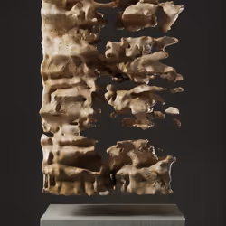 ULTRASOUND DATA SCULPTURES #19