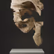 ULTRASOUND DATA SCULPTURES #73