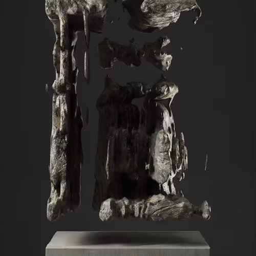 ULTRASOUND DATA SCULPTURES #83