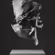 ULTRASOUND DATA SCULPTURES #29