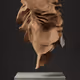 ULTRASOUND DATA SCULPTURES #46