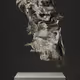 ULTRASOUND DATA SCULPTURES #15