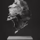 ULTRASOUND DATA SCULPTURES #82