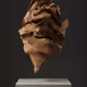 ULTRASOUND DATA SCULPTURES #74