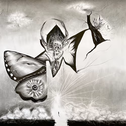 Favor Leo's Spiders and Consciousness