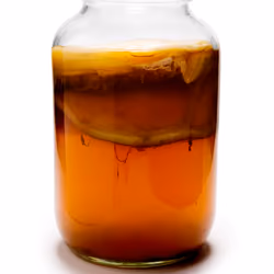 Kombucha