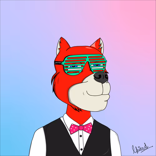 Uniteddogsociety