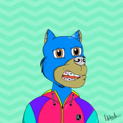 Stream