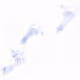 Footprint