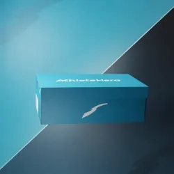 Shoebox #250