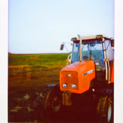 Polaroid 03- Countryside