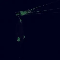 ◩ ▜ ◨ ▩ ▣ . ▍ ▏ ▋
