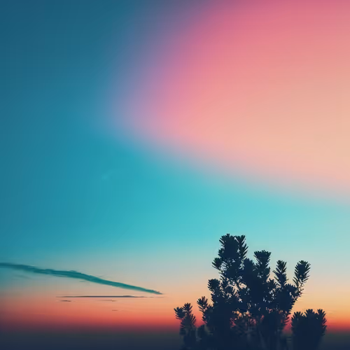Gradient Fnwp3xfsnz