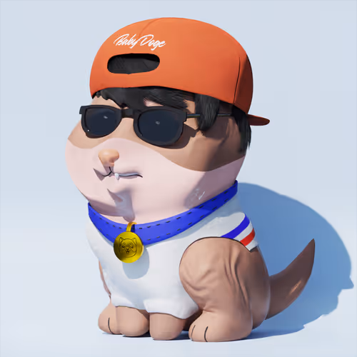 Baby Doge 3d