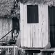 The Peruvian Amazon