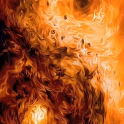 303