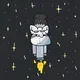 3675
